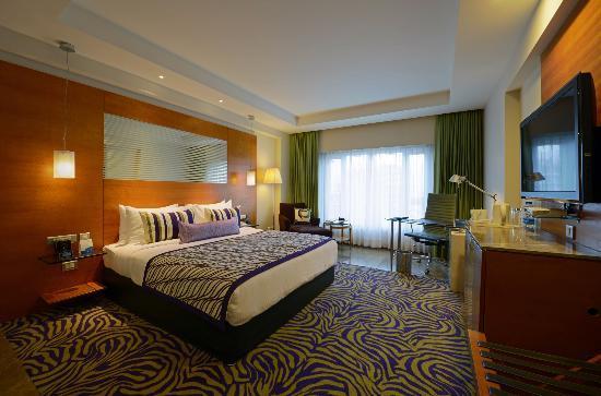 Radisson Blu Hotel